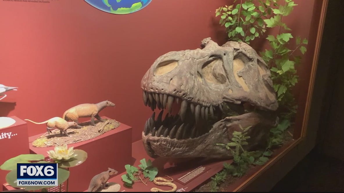 Milwaukee Public Museum reopens Thursday, 2 other museums to reopen Friday